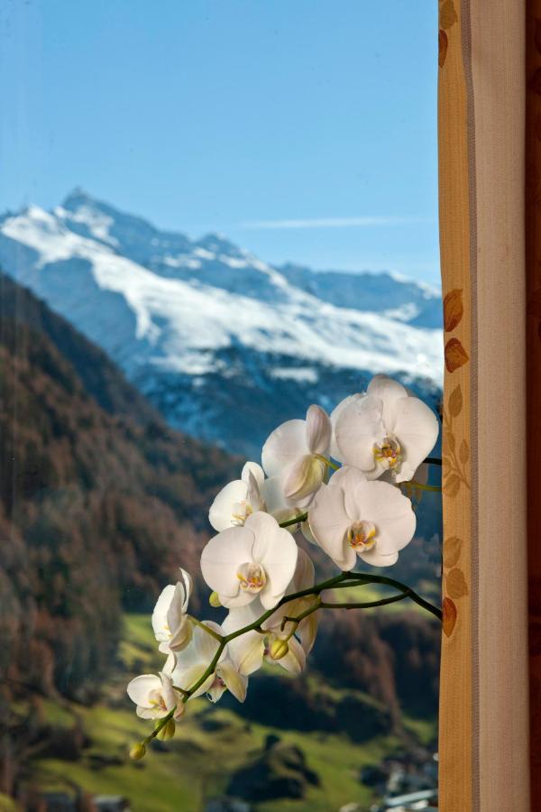 Alp Resort Tiroler Adler Ζόλντεν Εξωτερικό φωτογραφία